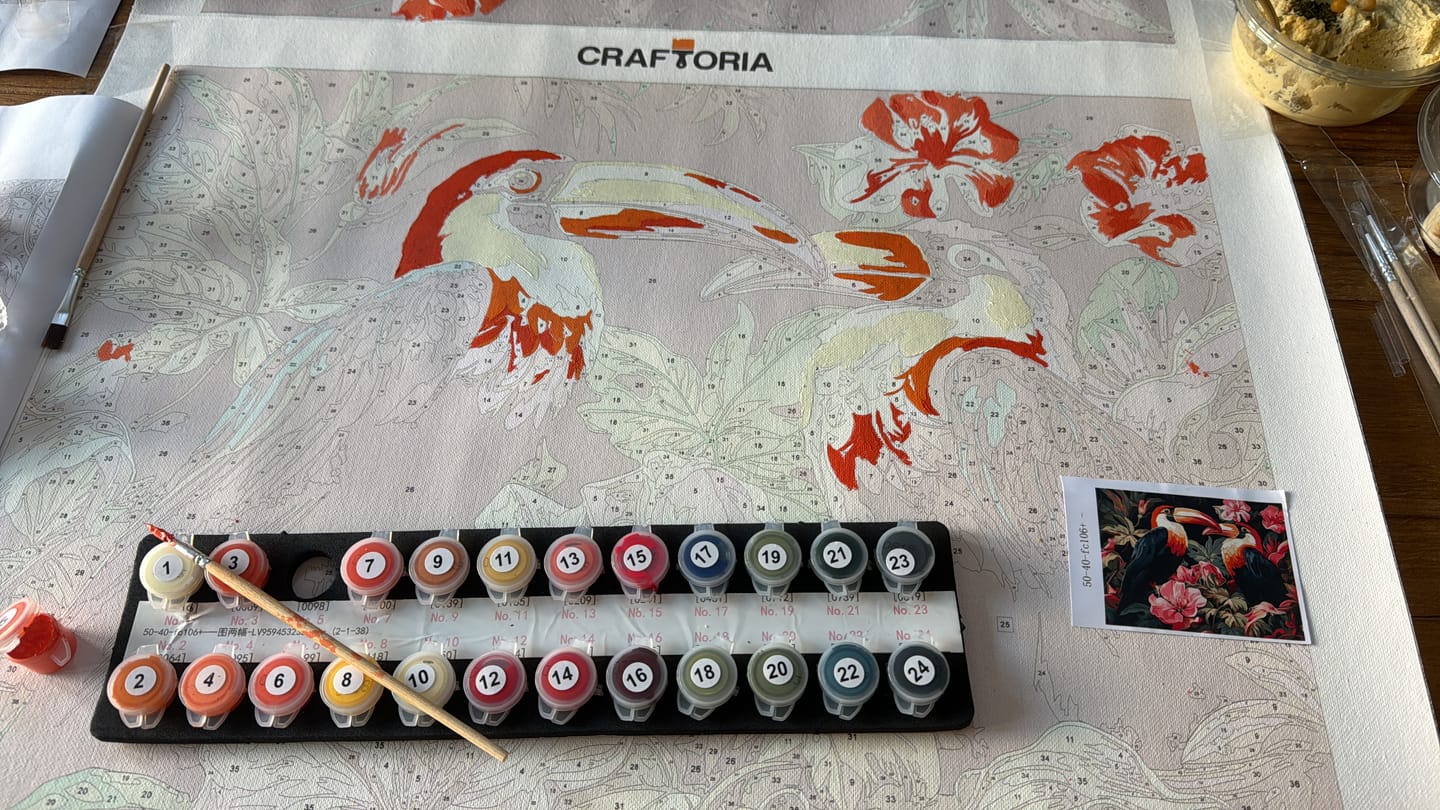 Customer photo review of Toucan Rhythm