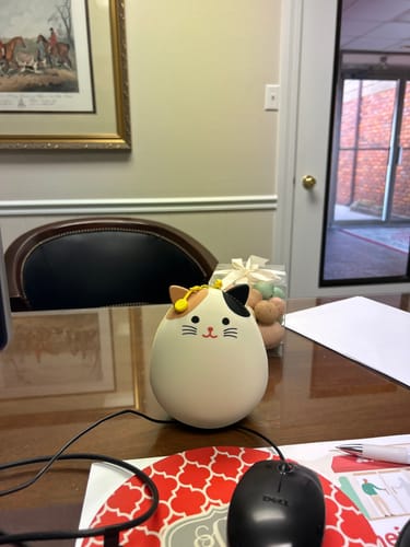 Customer photo review of Punilabo Smart Fit Egg Purse