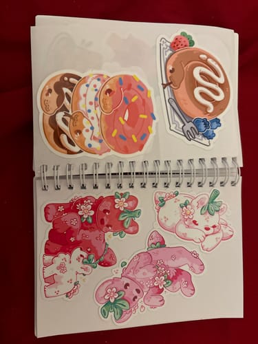 Customer photo review of Angel of the Eyes Small Reusable Sticker Book