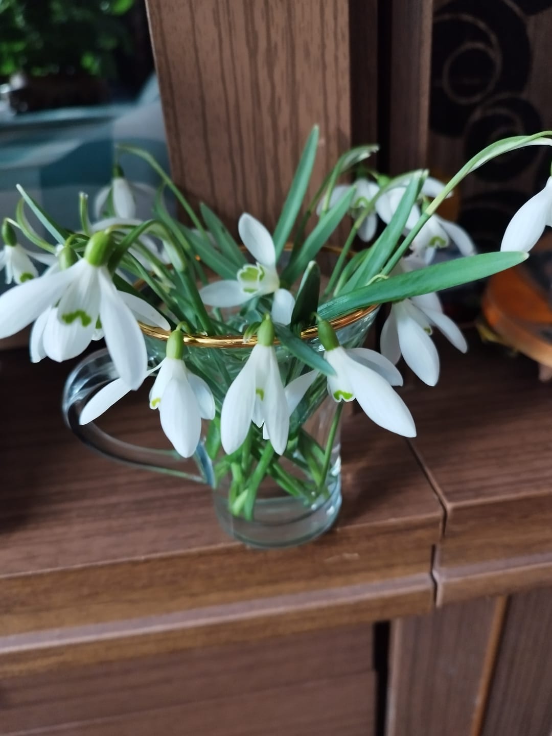 Customer photo review of Kotryna Jogailaitė. Rožės ir akmens karalienė: Eva Mattsson pristato gausiai iliustruotą istorinį tyrimą – slaptoji lietuviškos kilmės Švedijos karalienės istorija