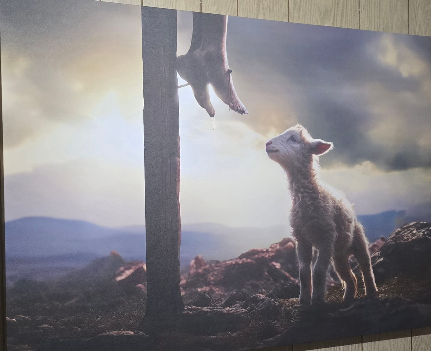 Customer photo review of Lamb Looking Up at Feet of Jesus Wall Art Canvas