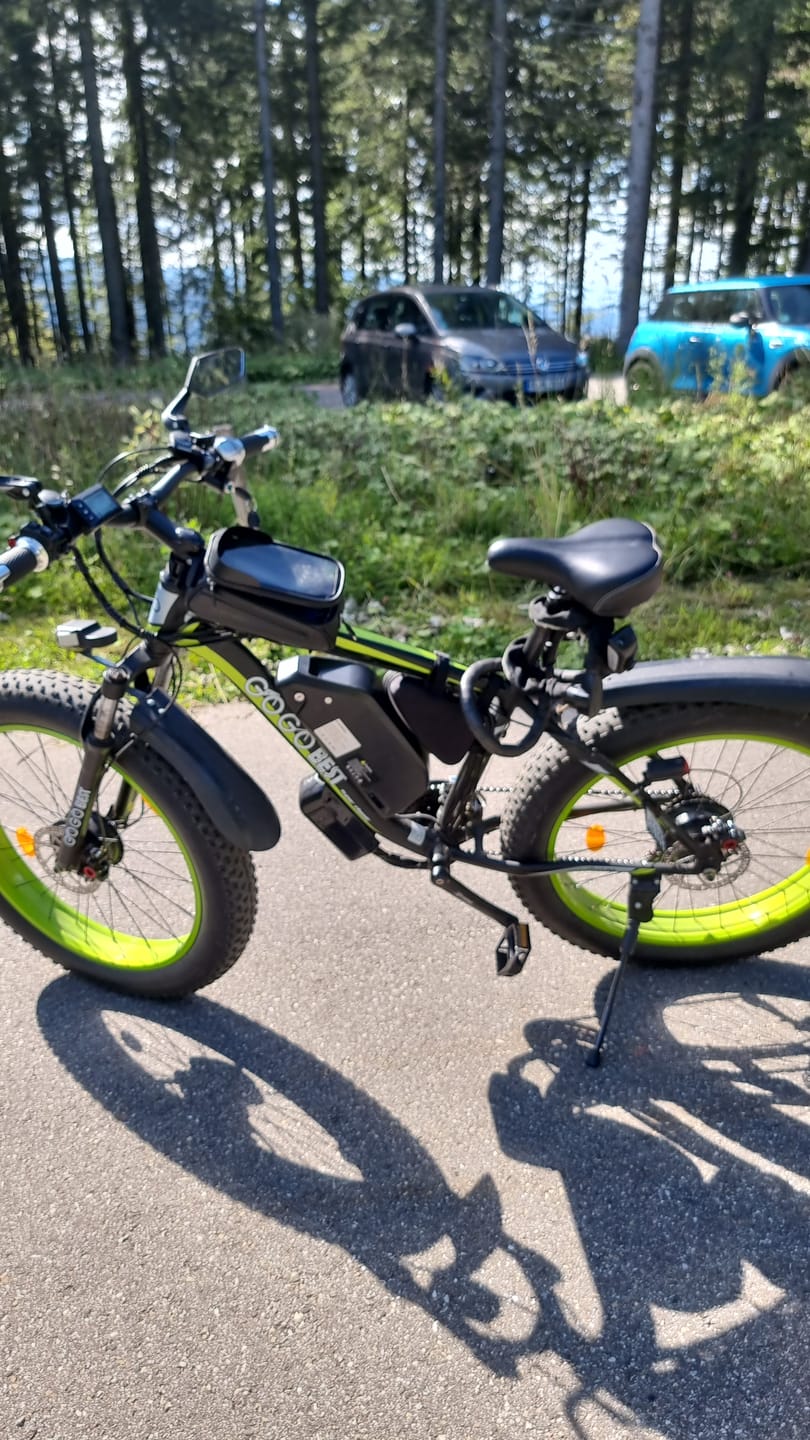 Customer photo review of GOGOBEST Bicycle Li-Battery for Ebikes