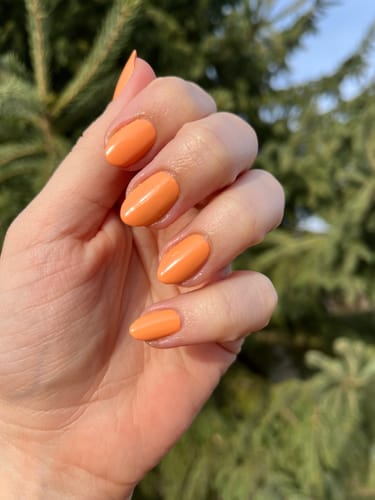 Customer photo review of Longwear Nail Polish - Ode To The Poppies
