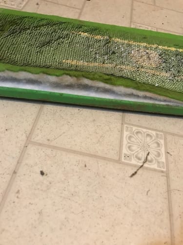 Customer photo review of The Divot Board