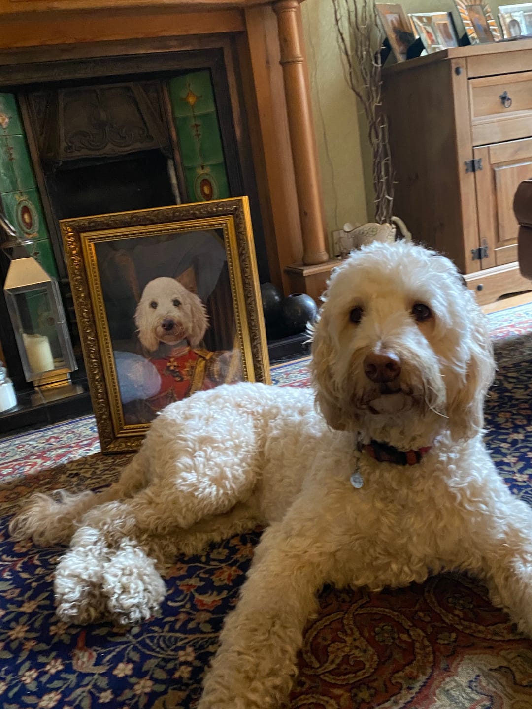 Customer photo review of The Duke: Custom Pet Portrait