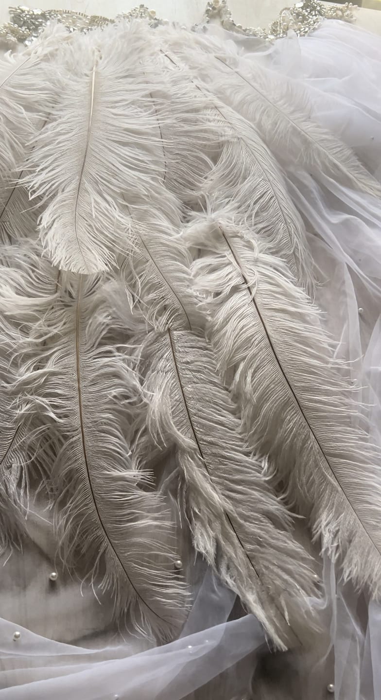 Customer photo review of BULK 1/2lb Ostrich Feather Tail Plumes 15-20" (Black)
