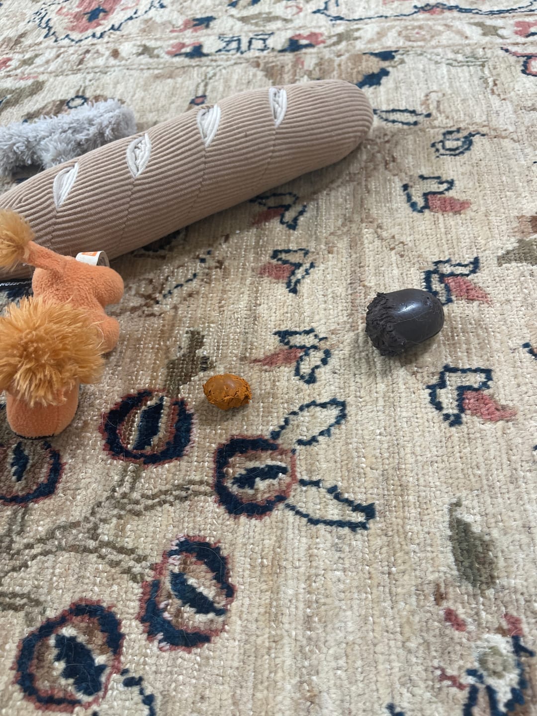Customer photo review of Give A Dog A Bone!