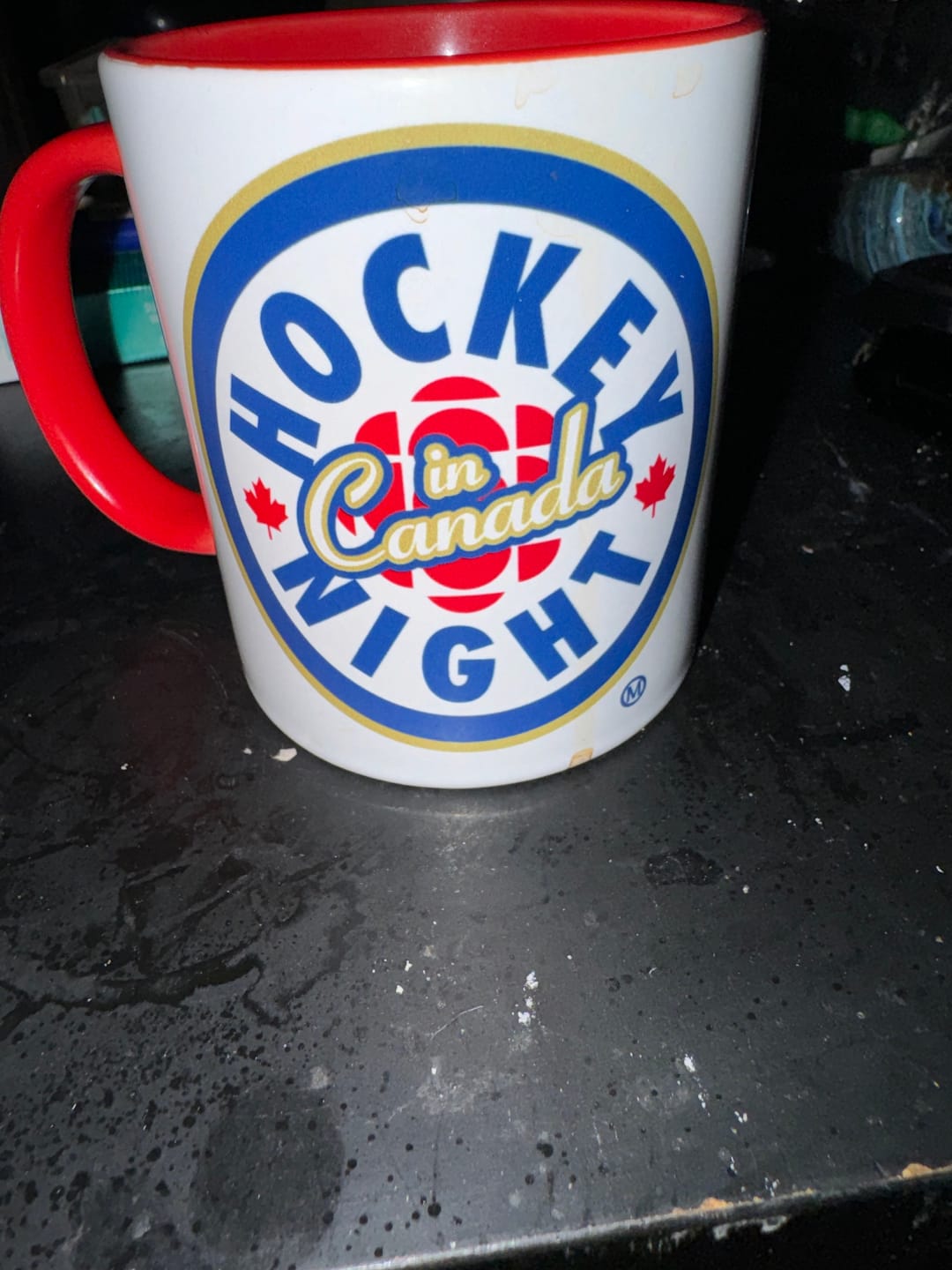 Customer photo review of La Soirée Du Hockey Logo T-Shirt