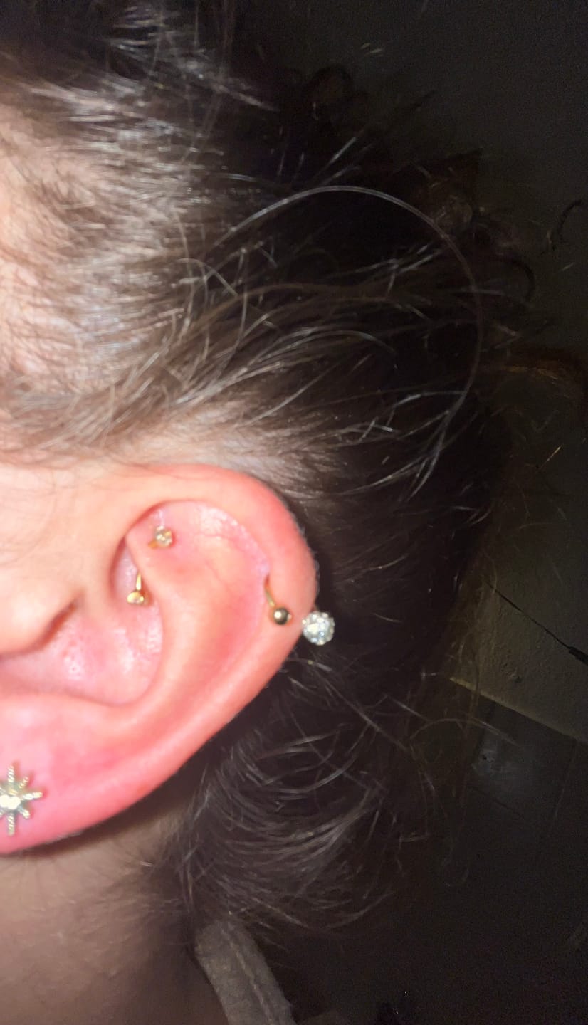 Customer photo review of Britney Rook Piercing | Titan