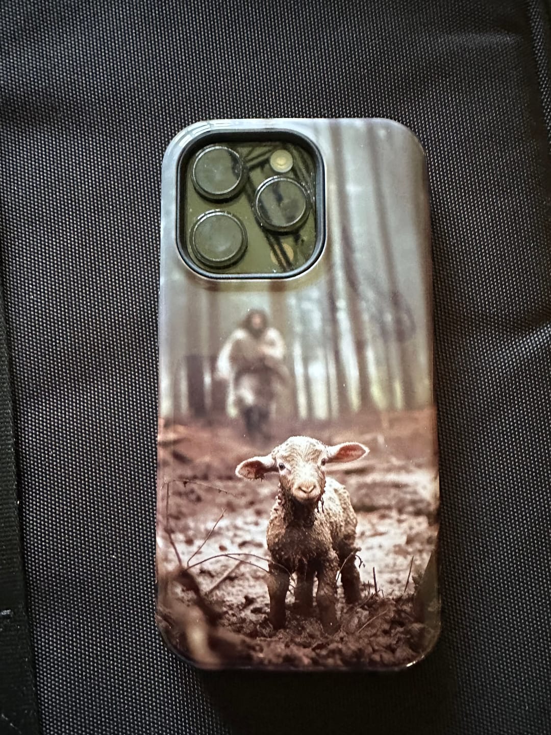 Customer photo review of Jesus With The Sheep, Jesus Running After Lamb, Phone Case