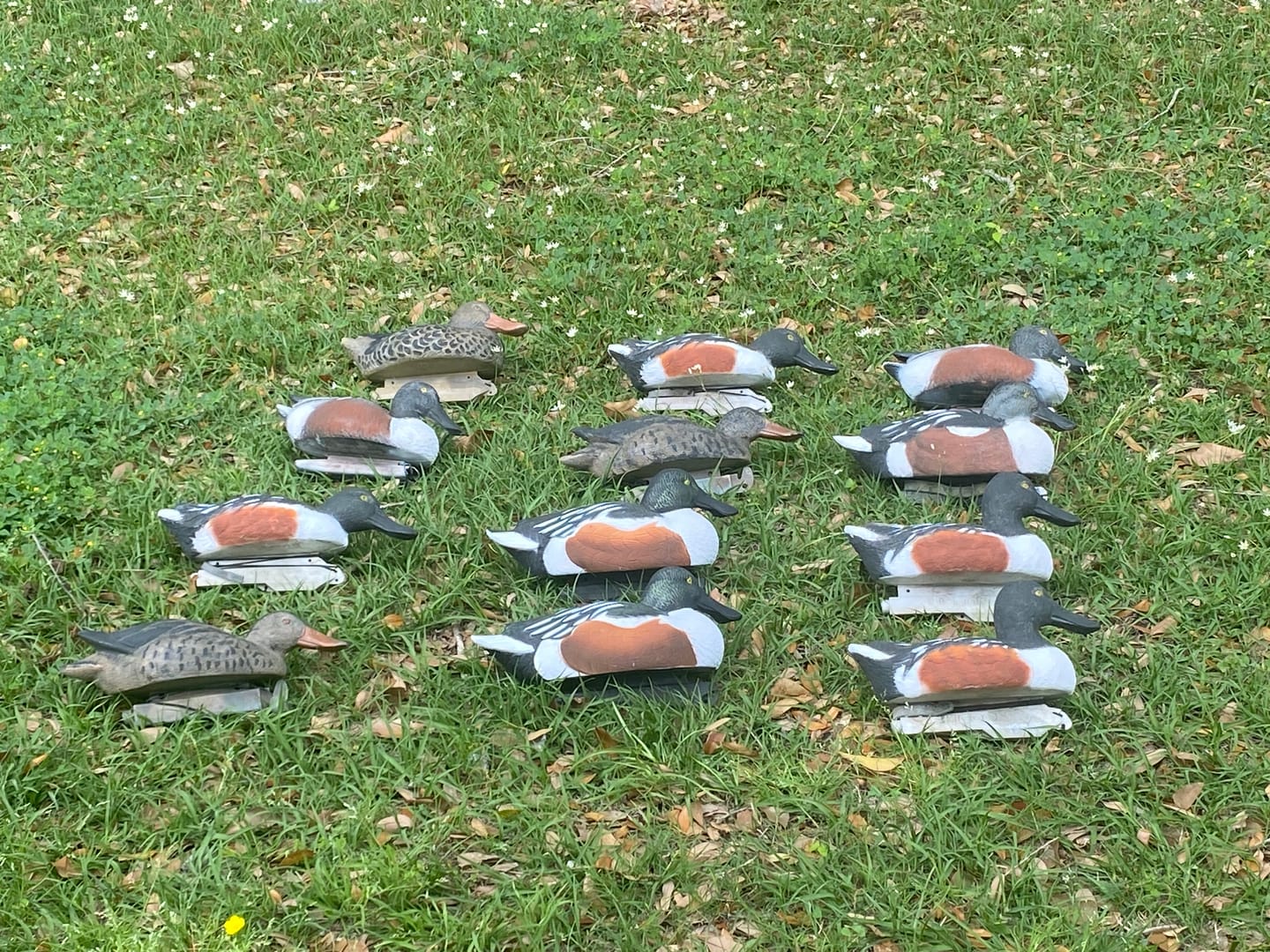 Customer photo review of Decoy Paint Kit - Large