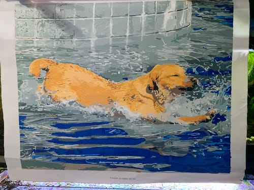 Customer photo review of Custom Paint By Numbers Kit