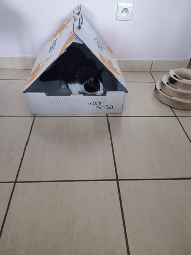 Avis photo d'un client sur Croquettes Chat Stérilisé Sans Céréales - Poulet