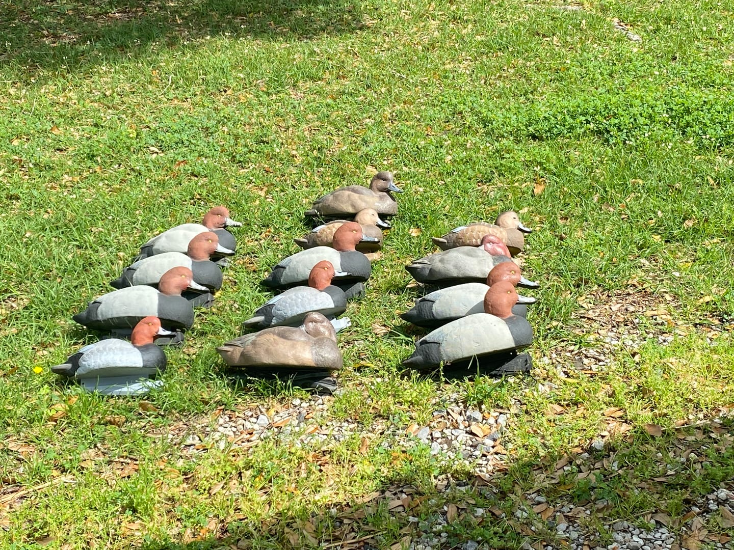 Customer photo review of Decoy Paint Single Color - 4oz