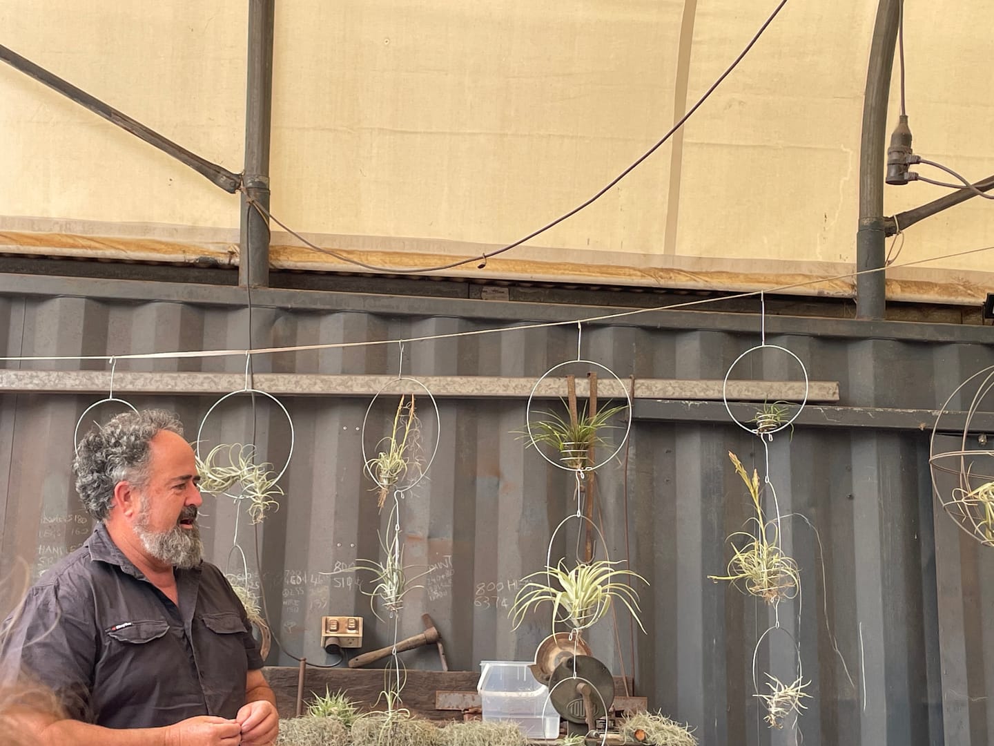 Customer photo review of An Introduction to Air Plants - with David Edmonds  - Sunday 10th March 10 - 11am