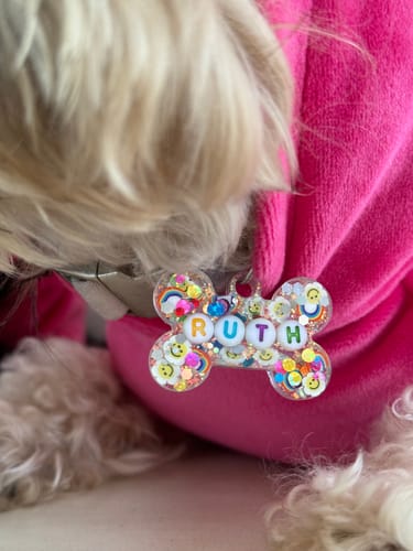 Customer photo review of The Disco Pet Tag