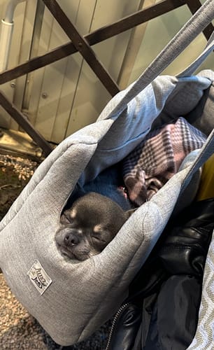 Customer photo review of Trasportino Mattias (Soft Touch) Grigio