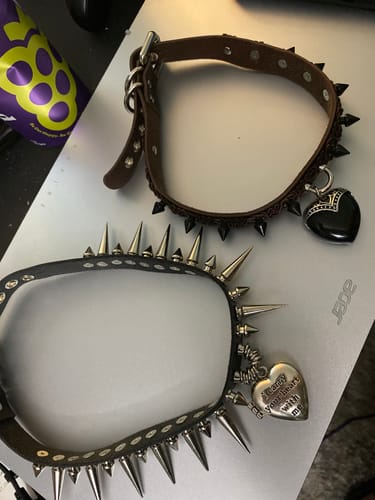 Customer photo review of Woodland Fae Obsidian Choker