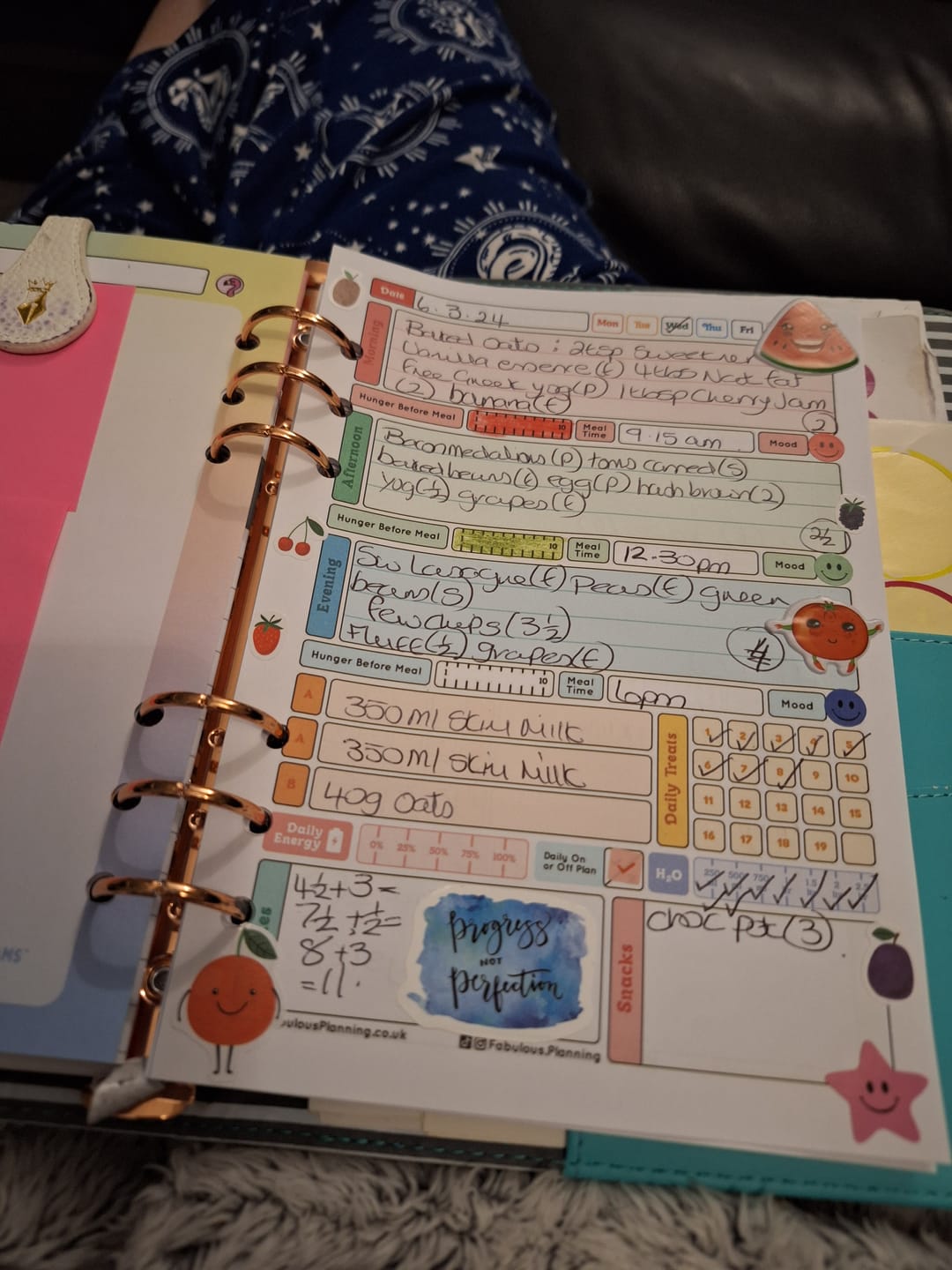 Customer photo review of Slimming World - Spacious - Organiser Refill
