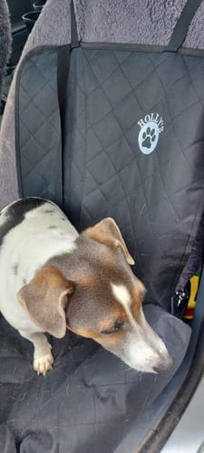 Customer photo review of Car Seat Cover