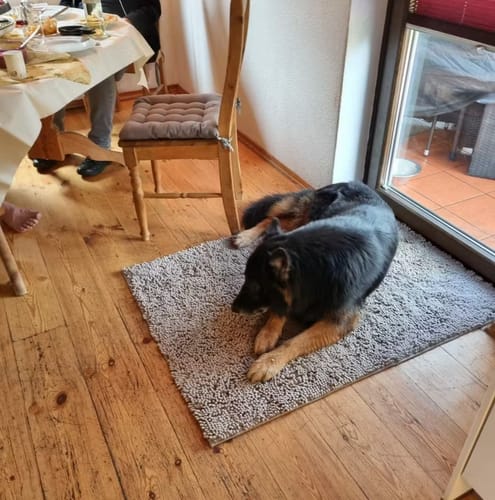 Customer photo review of CleanyMat | Ultra Absorbent Microfibre Mat