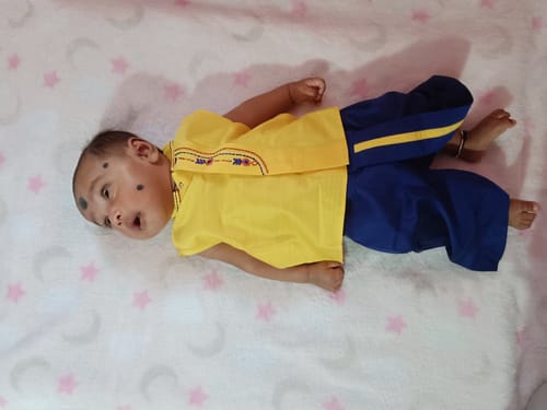 The Nesavu customer review from RAGHUNATH B.