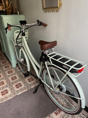 Customer photo review of E-Cargo N7