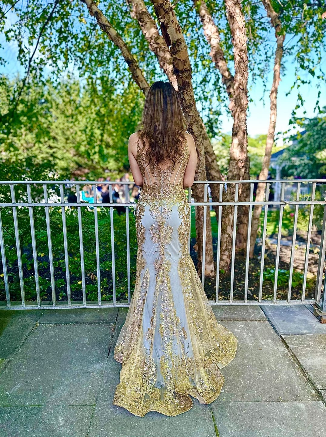 Customer photo review of CINDERELLA DIVINE J810 Fitted Floral Glitter Corset Dress