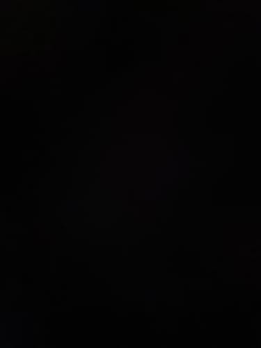 Customer photo review of Shipping Protection