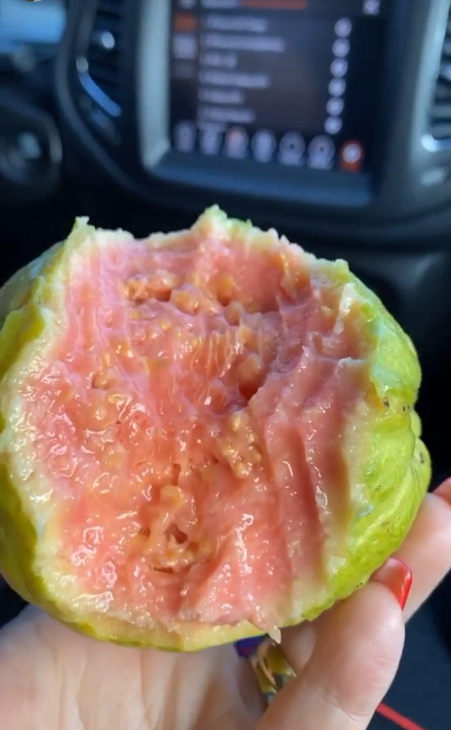Customer photo review of Pink Guava Box
