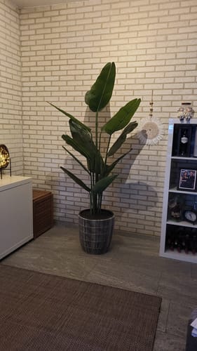 Customer photo review of Kunst Bananenplant 180cm