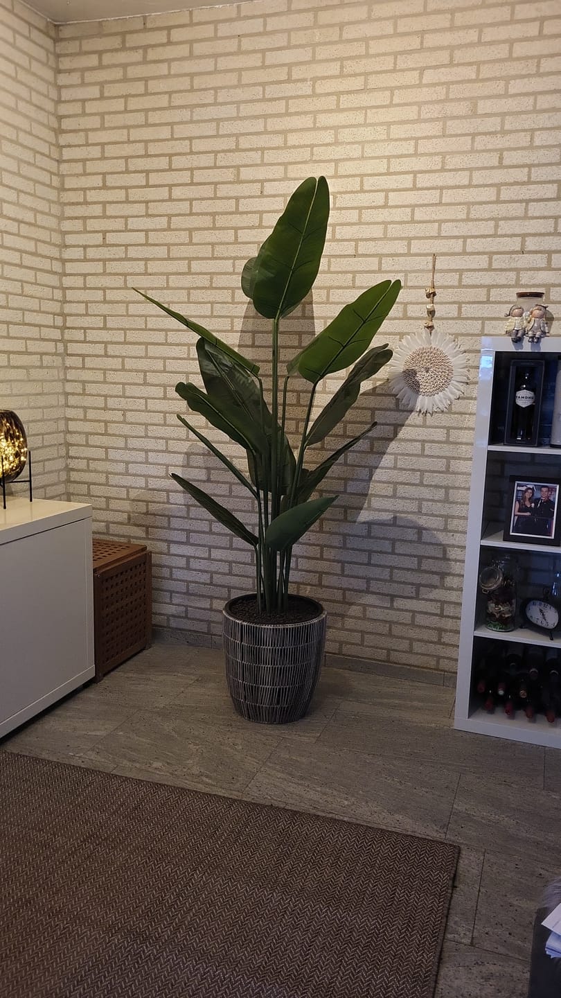 Customer photo review of Kunst Bananenplant 180cm