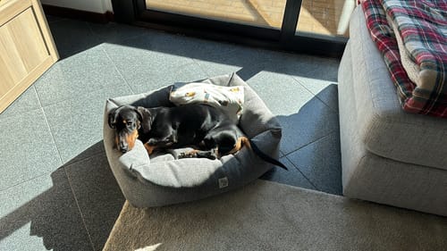 Customer photo review of Divanetto Cotone Urban Grigio Melange