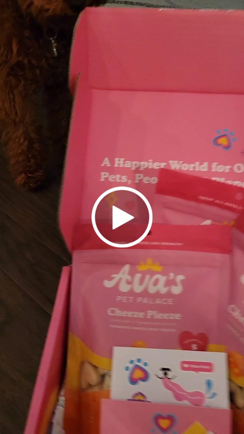 Customer video review of Organic Baked Dog Treats - Cheeze Pleeze