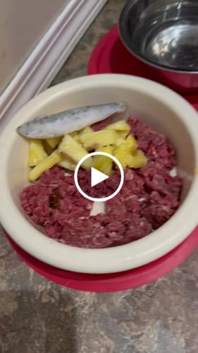 Customer video review of Sardines 1 lb - Frozen Raw Dog Treat - Iron Will Raw