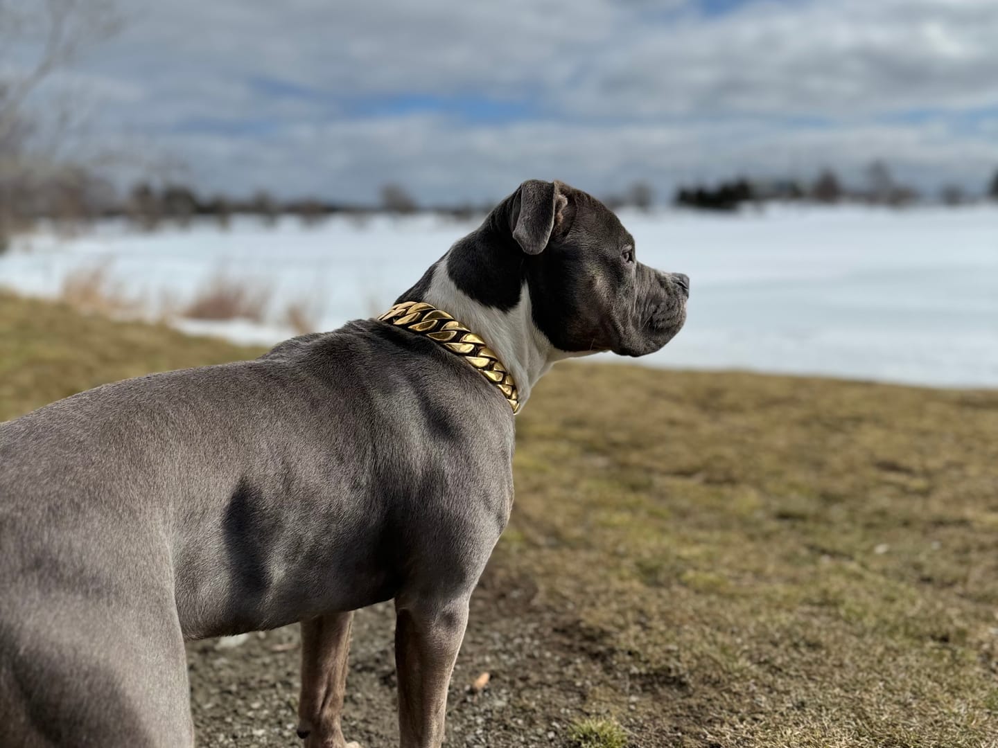 Customer photo review of THE KILO