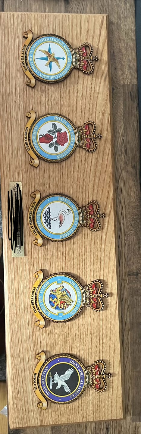 Customer photo review of RAF Badge Wall Plaque
