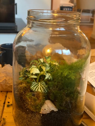 Customer photo review of Karline und der Flaschengarten - Kinderbuch und Flaschengarten