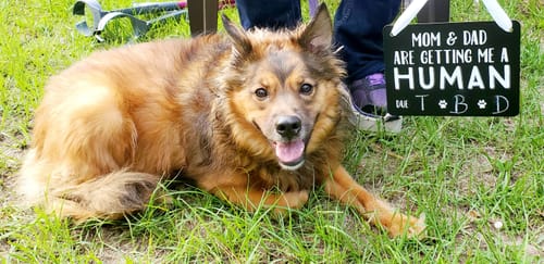 Customer photo review of Cutest Pets of the Month 2024 Photobook