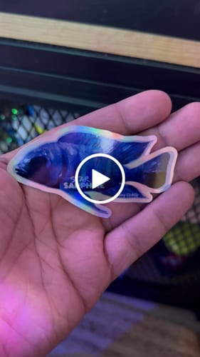 Customer video review of Cantidad: 7.5cm x 7.5cm