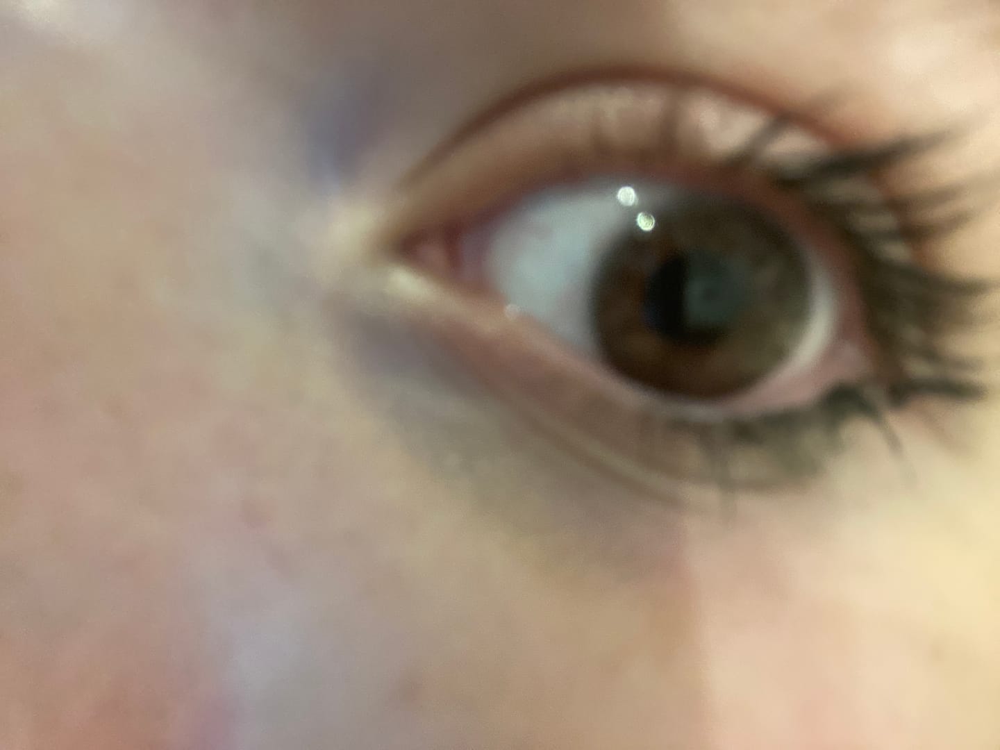 Customer photo review of Eyeling Dark Brown