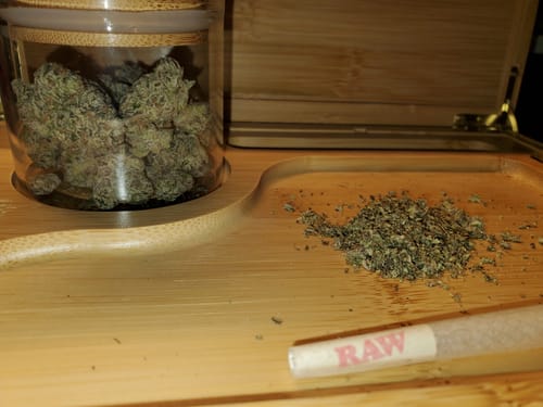 Customer photo review of Alien ET - THCa Flower