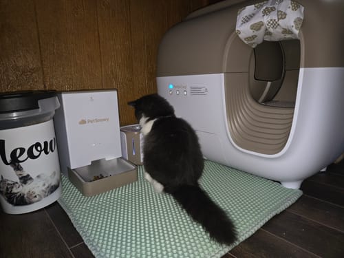 Customer photo review of Self-Cleaning Litter Box