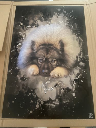 Customer photo review of Aquarell Pawtrait