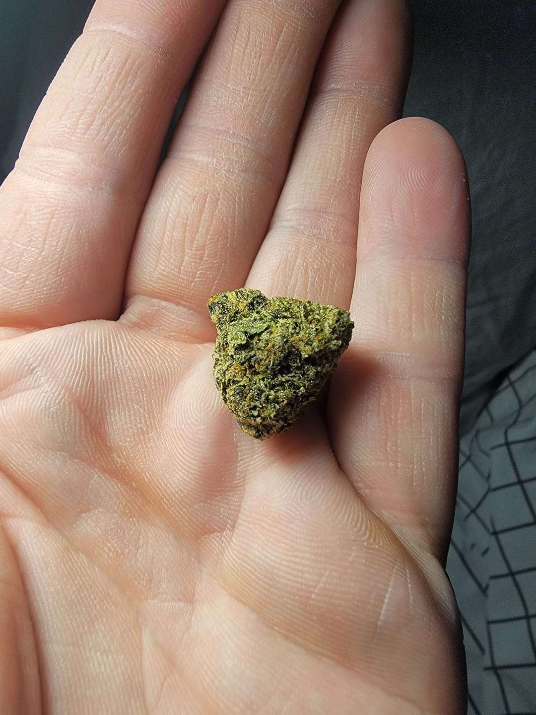 Customer photo review of Sour Diesel - THCa Flower
