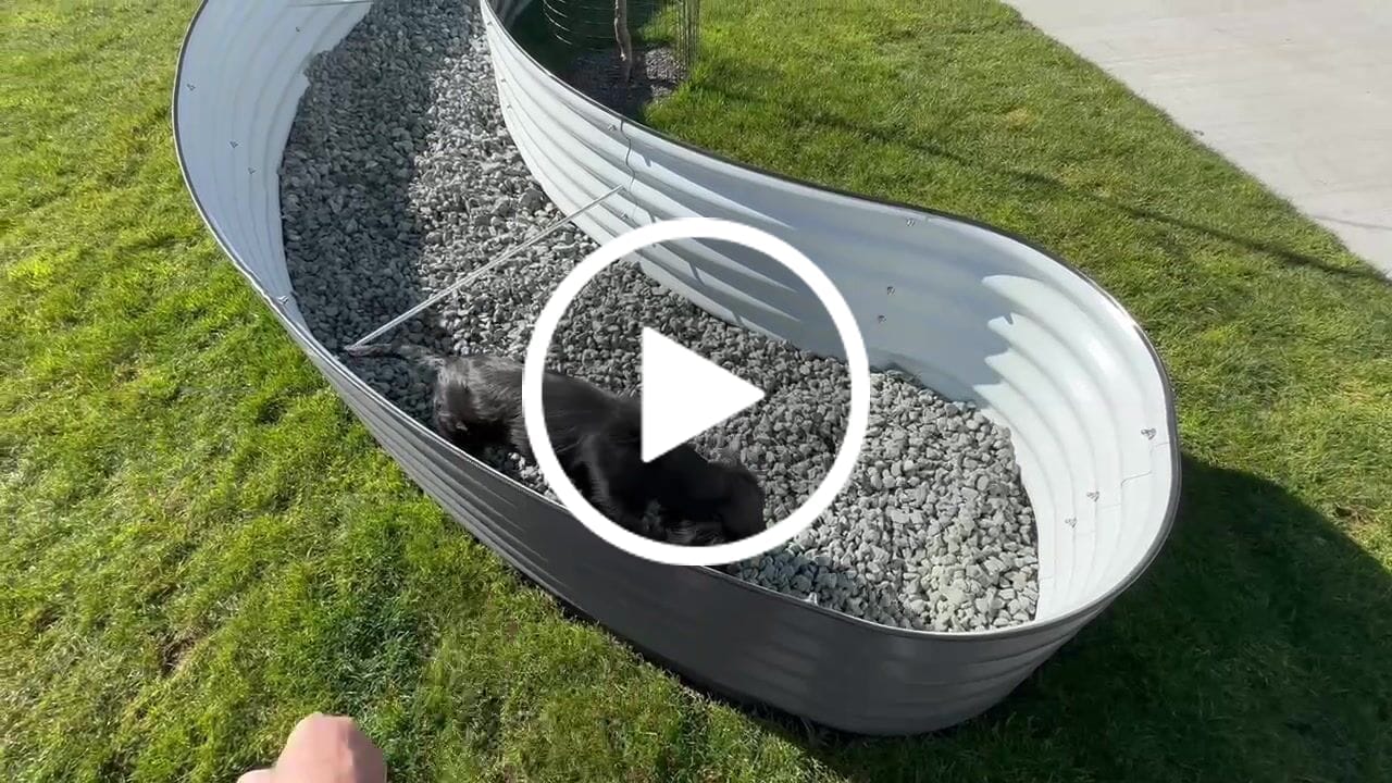 Customer video review of 17" Tall Crescent