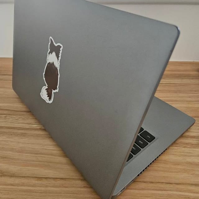 Customer photo review of Border Collie Back Sticker