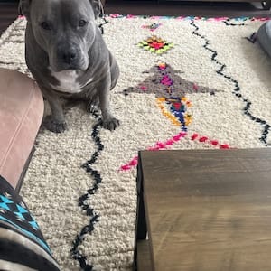 Customer photo review of Modern Abstract Geometric Wool Rug