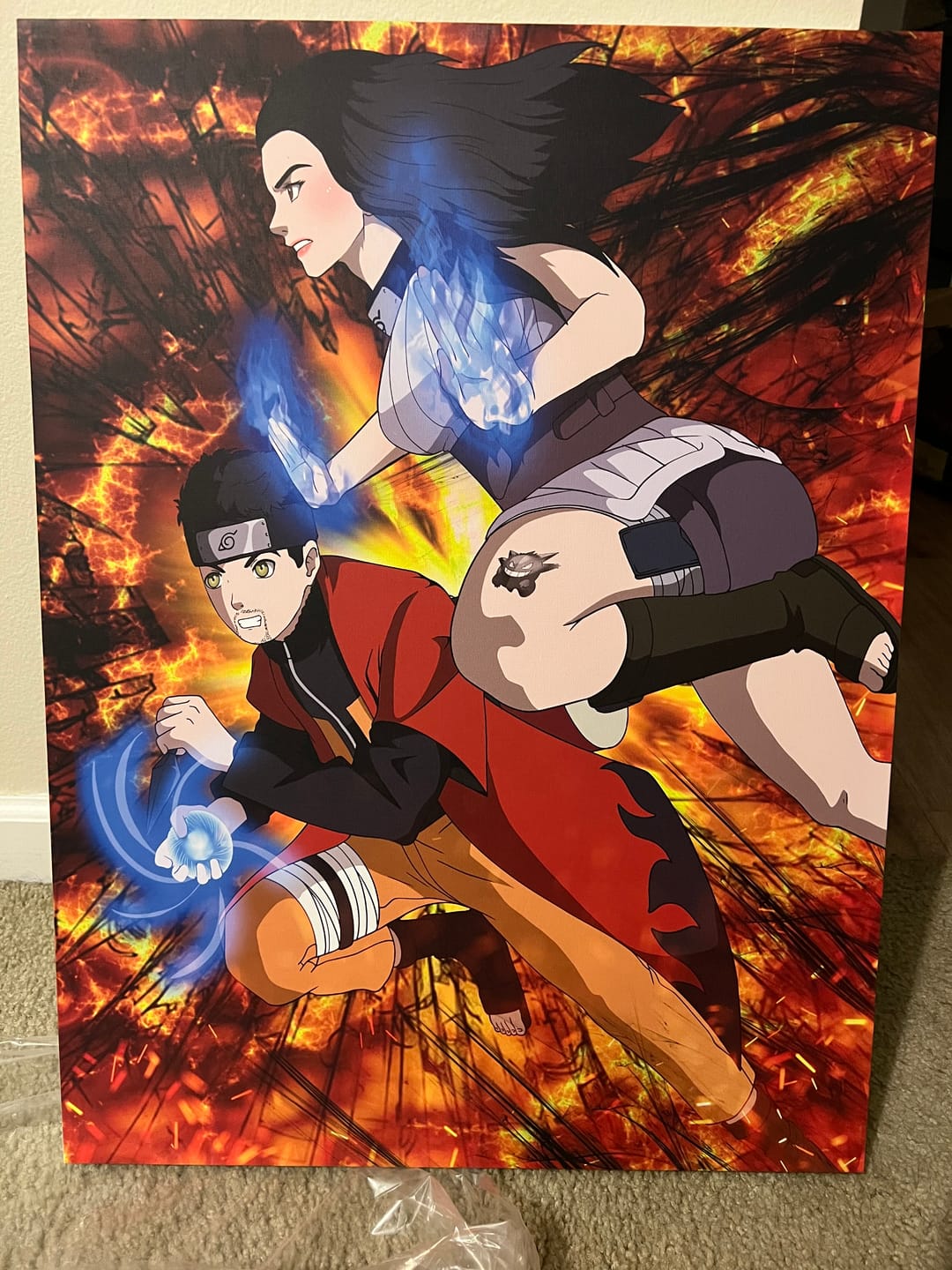 Customer photo review of Canvas