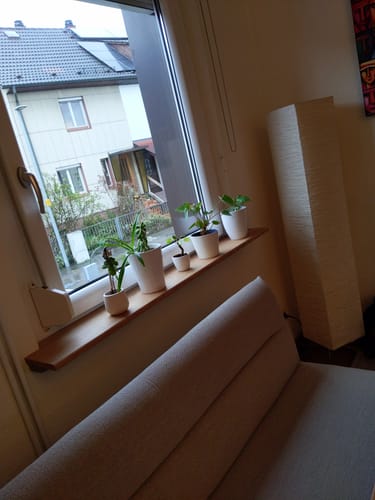 Customer photo review of Fensterbank Eiche